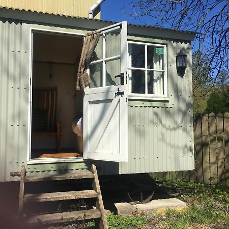 Posh Huts Farmstay Falstone ภายนอก รูปภาพ