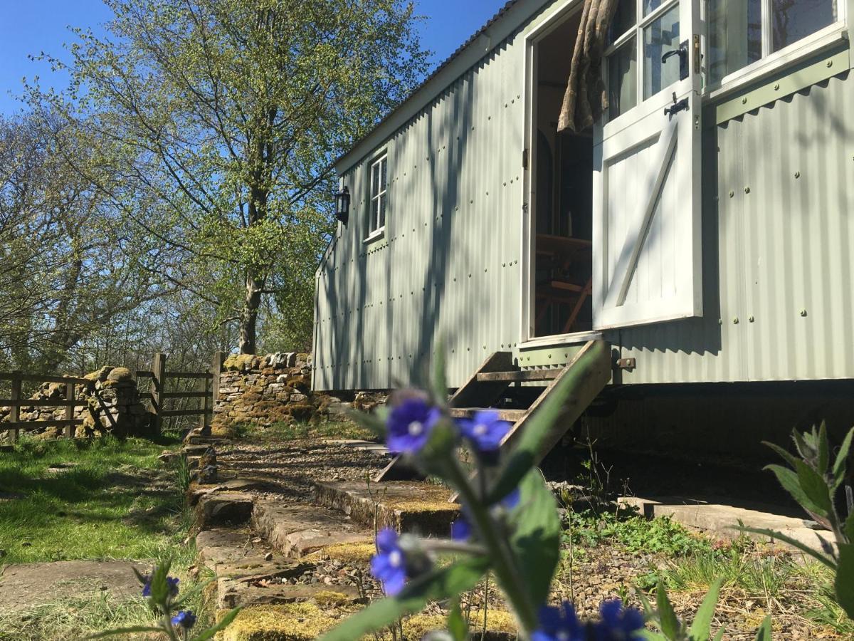 Posh Huts Farmstay Falstone ภายนอก รูปภาพ